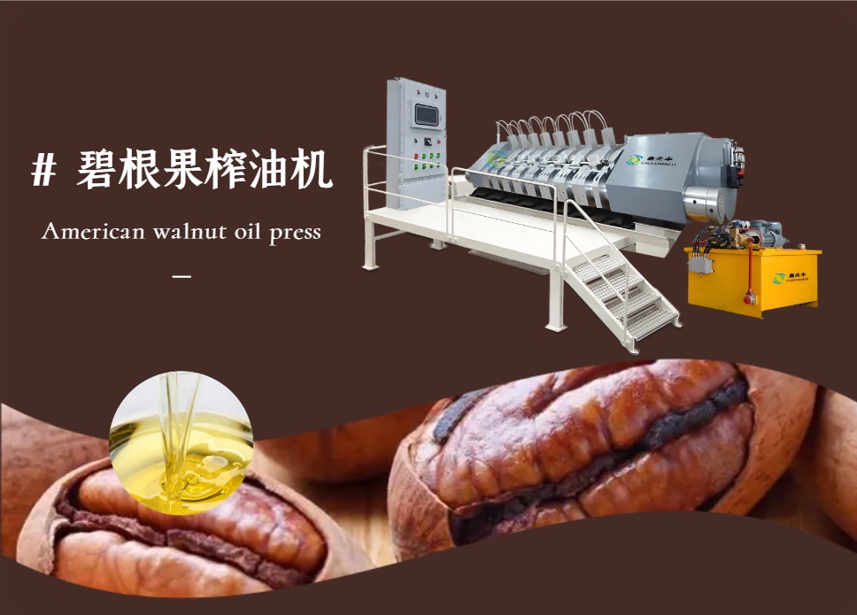 全自動(dòng)液壓榨油機(jī)_YZYW42-6_美國(guó)核桃│碧根果榨油機(jī)